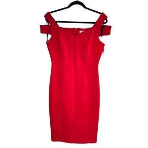 Calvin Klein Dress Size 10